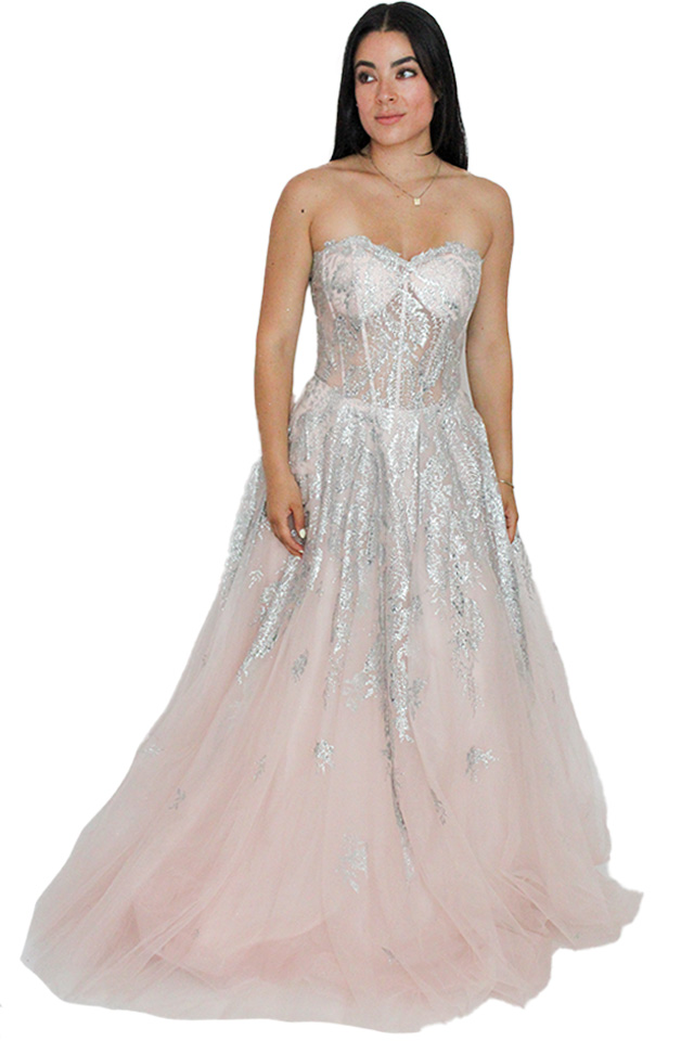 vestido LaDivine en renta