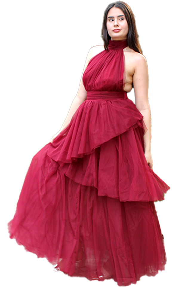 vestido Fancy Dresses en renta
