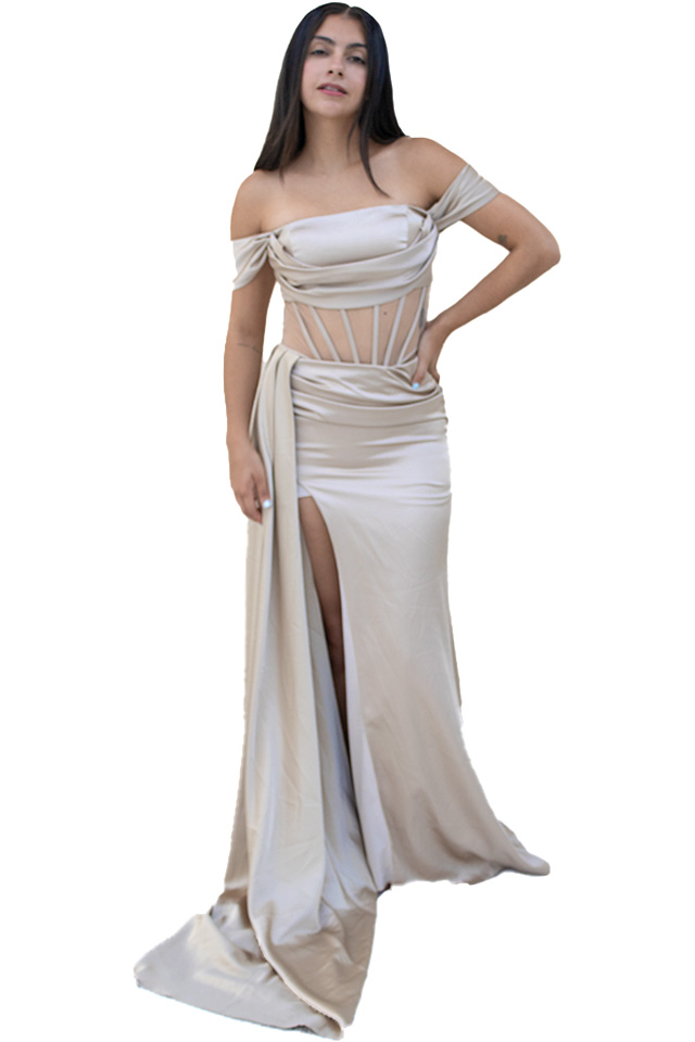 vestido PASSION DRESS en renta